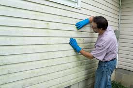 Reliable Long Lake, MN Siding Installation & Repair Solutions